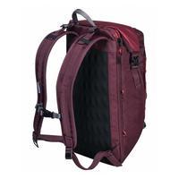 Міський рюкзак Victorinox Travel ALTMONT Active 21 л 15