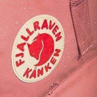 Міський рюкзак Fjallraven Kanken Pink 16л (23510.312)