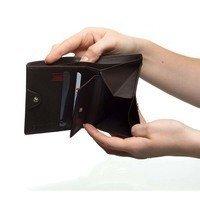 Гаманець Roncato Pascal Коричневий (412910 44)