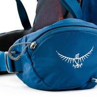 Туристичний рюкзак Osprey Kestrel 48 Loch Blue S/M (009.1864)