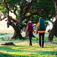 Туристичний рюкзак Osprey Rook 50 Black O/S (009.1887)