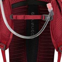 Спортивний рюкзак Osprey Siskin 12 Molten Red O/S (009.1942)
