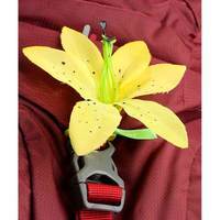 Туристичний рюкзак Deuter AC Lite 14 SL Maron (34200165026)