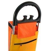 Господарський сумка-візок Aurora Bolzano 55 Orange (926842)