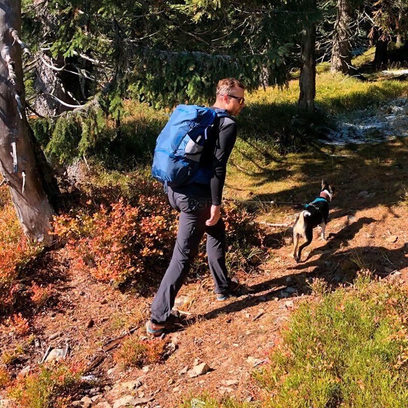 Туристичний рюкзак Pinguin Vector 35 2020 Green (PNG 316148)