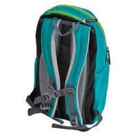 Дитячий рюкзак Deuter Gogo XS Indigo - Alpinegreen (3611017 3232)