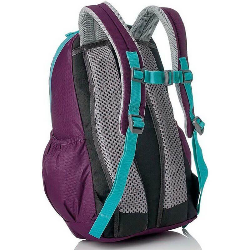 Дитячий рюкзак Deuter Gogo XS Flieder - Plum (3611017 5538)
