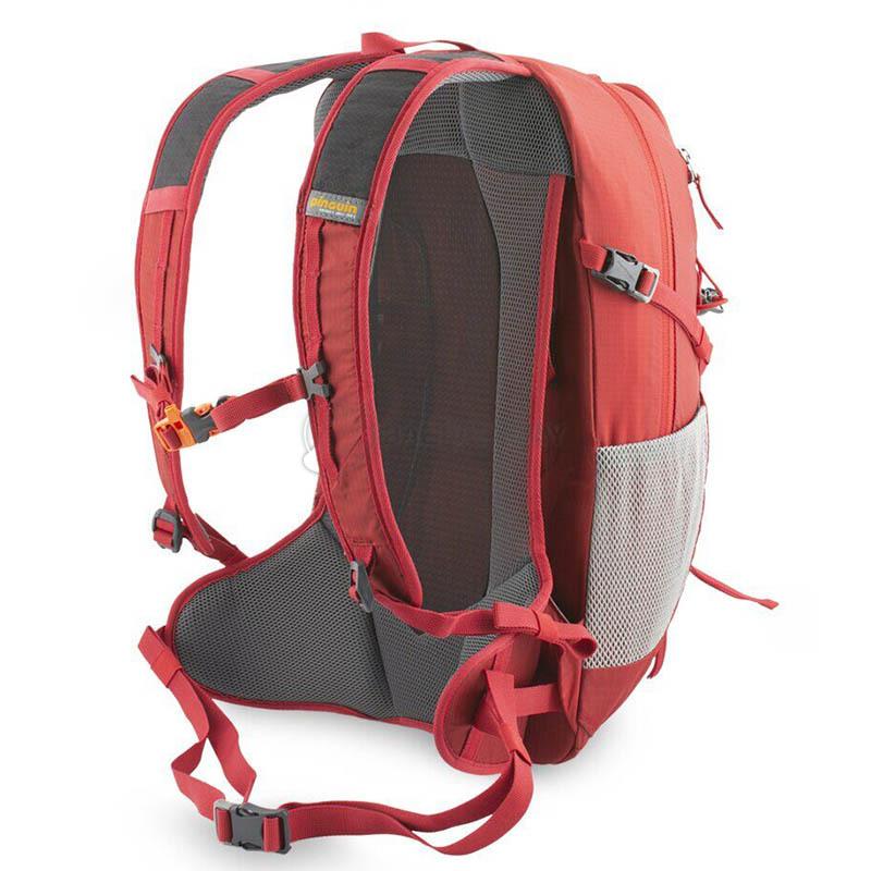 Спортивний рюкзак Pinguin Ride 19 2020 Red (PNG 327137)