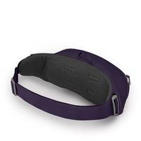 Поясна сумка Osprey Daylite Waist (S21) Dream Purple (009.2493)