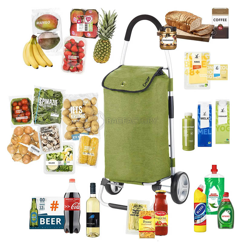 Господарська сумка-візок ShoppingCruiser Foldable 45 Green (930021)