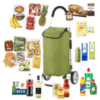 Господарська сумка-візок ShoppingCruiser Foldable 45 Green (930021)