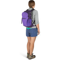 Міський рюкзак Osprey Daylite Plus 20л Dream Purple (009.2475)