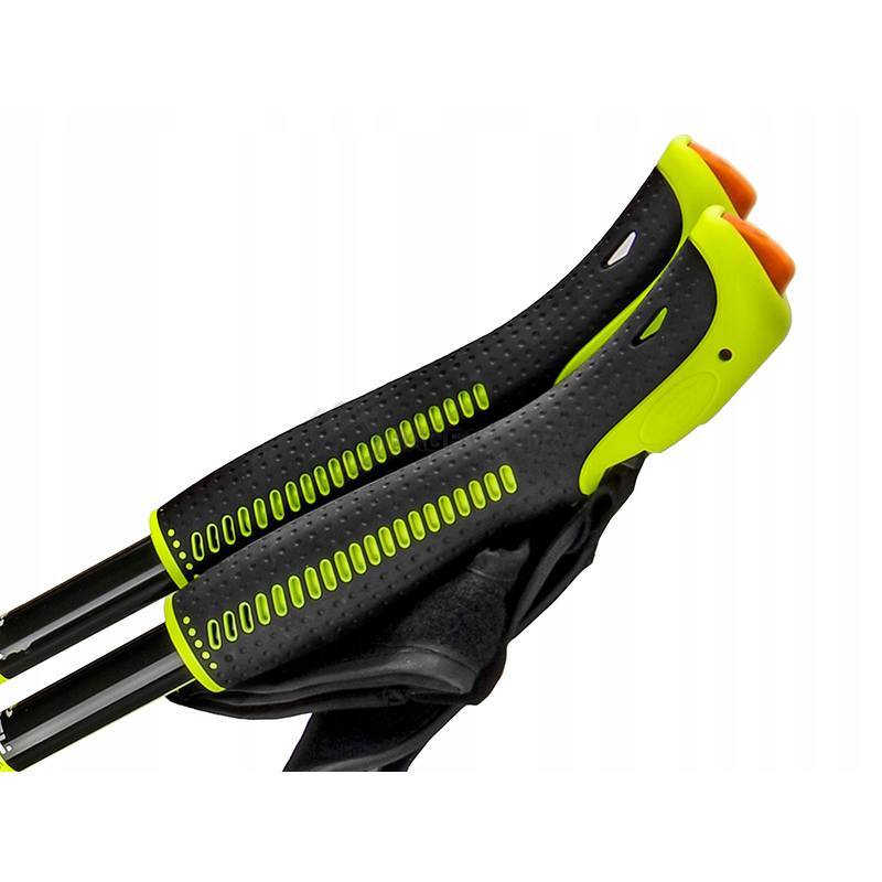 Палиці для скандинавської ходьби Gabel Light NCS 115 (DAS301329)