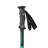 Трекінгові палиці Masters Ranger Blue (01S4819)