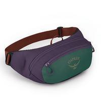 Поясна сумка Osprey Daylite Waist Axo Green/Enchantment Purple (009.3094)