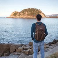 Міський рюкзак для фото Vanguard VEO GO 42M Khaki-Green (DAS301641)