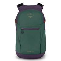 Міський рюкзак Osprey Daylite Plus 20л Axo Green/Enchantment Purple (009.3085)