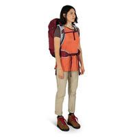 Туристичний рюкзак Osprey Hikelite 28 Sangria Red M/L (009.3344)