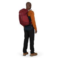 Туристичний рюкзак Osprey Hikelite 28 Sangria Red M/L (009.3344)