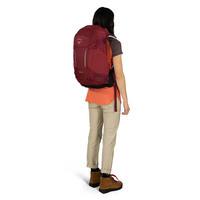 Туристичний рюкзак Osprey Hikelite 28 Sangria Red M/L (009.3344)