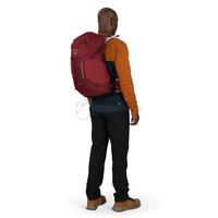 Туристичний рюкзак Osprey Hikelite 28 Pine Leaf Green S/M (009.3345)