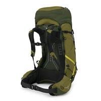 Туристичний рюкзак Osprey Atmos AG LT 50 Scenic Valley/Green Peppercorn S/M (009.3284)