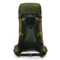 Туристичний рюкзак Osprey Atmos AG LT 65 Scenic Valley/Green Peppercorn S/M (009.3278)