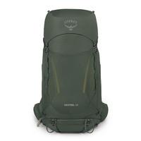 Туристичний рюкзак Osprey Kestrel 48 Bonsai Green L/XL (009.3312)