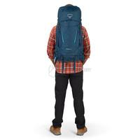 Туристичний рюкзак Osprey Kestrel 48 Bonsai Green L/XL (009.3312)