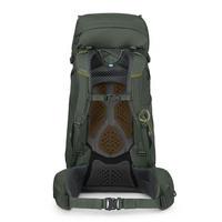 Туристичний рюкзак Osprey Kestrel 48 Bonsai Green S/M (009.3311)