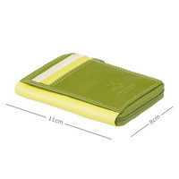 Жіночий гаманець-картхолдер Visconti RB110 Phi Phi Lime Multi (RB110 LIME M)