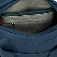 Сумка-рюкзак Osprey Daylite Tote Pack 20л Green Canopy/Green Creek (009.3451)