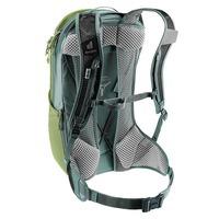 Спортивний рюкзак Deuter Race Air 10 Meadow-Ivy (3204323 2291)