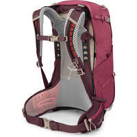 Туристичний рюкзак Osprey Sirrus 24 Elderberry Purple/Chiru Tan (009.3593)