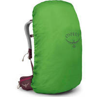 Туристичний рюкзак Osprey Sirrus 36 Elderberry Purple/Chiru Tan (009.3590)
