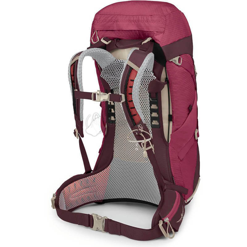 Туристичний рюкзак Osprey Sirrus 36 Elderberry Purple/Chiru Tan (009.3590)