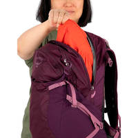 Туристичний рюкзак Osprey Sportlite 25 Pine Leaf Green M/L (009.3041)