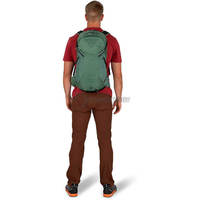 Туристичний рюкзак Osprey Sportlite 25 Pine Leaf Green M/L (009.3041)