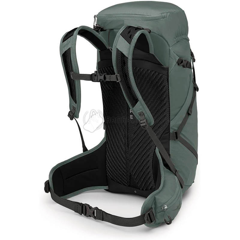 Туристичний рюкзак Osprey Sportlite 30 Pine Leaf Green S/M (009.3034)