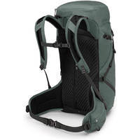 Туристичний рюкзак Osprey Sportlite 30 Pine Leaf Green S/M (009.3034)