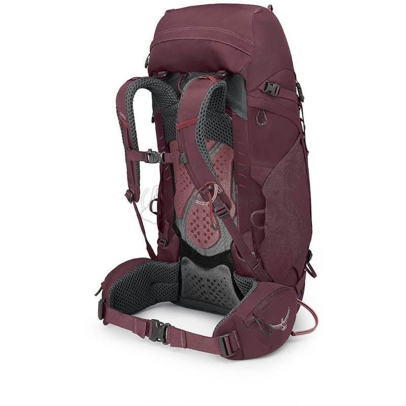 Туристичний рюкзак Osprey Kyte 48 Elderberry Purple WXS/S (009.3327)