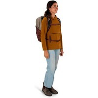 Міський рюкзак Osprey Quasar 26 Sawdust Tan/Raisin Red (009.3648)