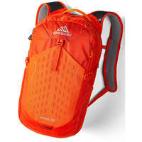 Міський рюкзак Gregory Essential Hiking Nano 20 Burnished Orange (111499/4844)