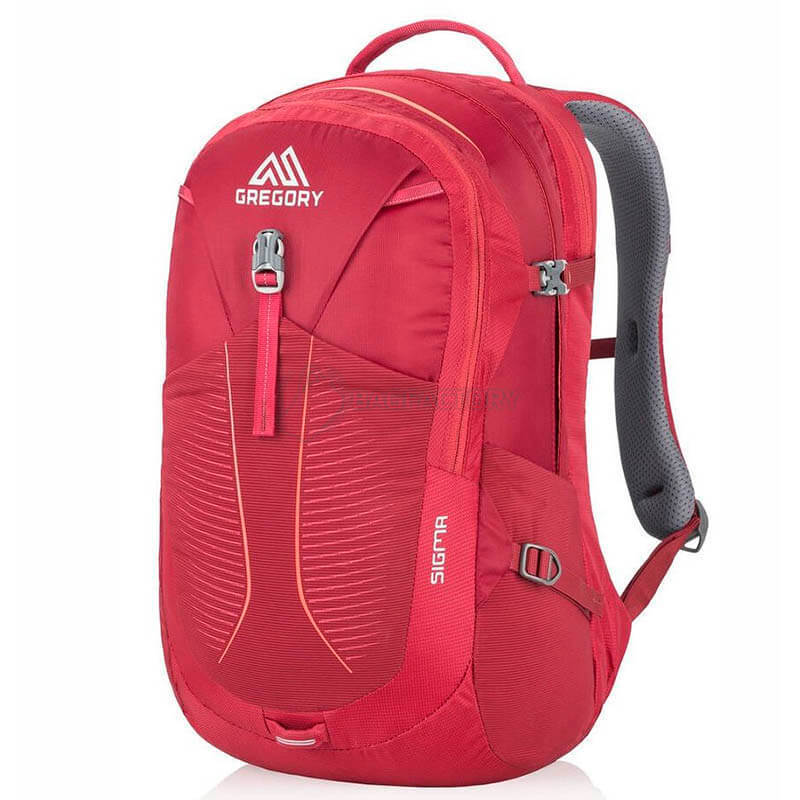Міський рюкзак Gregory Sigma 28л Des.Rose (104093/1297)