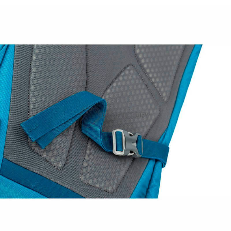 Міський рюкзак Gregory Sigma 28л Des.Rose (104093/1297)