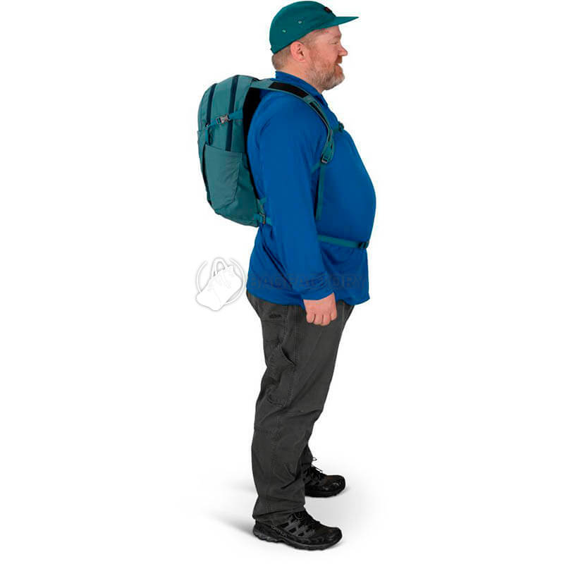 Міський рюкзак Osprey Daylite Plus Earth 20л Blue Tang (009.3561)
