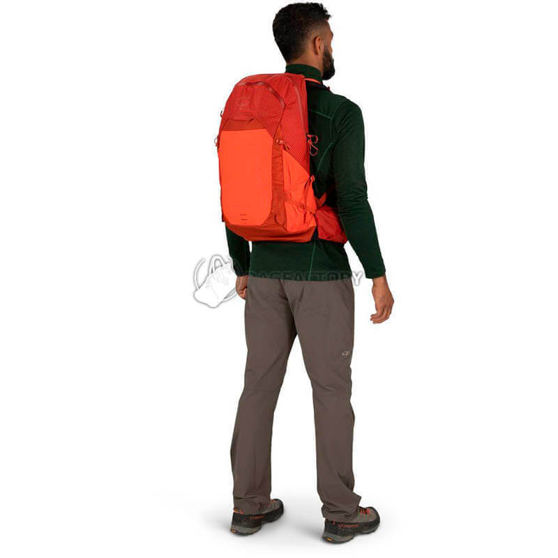 Туристичний рюкзак Osprey Talon Pro 20 Silver Lining (009.3536)