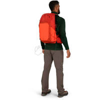 Туристичний рюкзак Osprey Talon Pro 20 Silver Lining (009.3536)