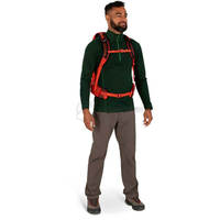 Туристичний рюкзак Osprey Talon Pro 20 Silver Lining (009.3536)