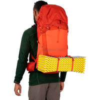 Туристичний рюкзак Osprey Talon Pro 40 Silver Lining L/XL (009.3532)
